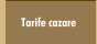Tarife cazare