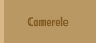 Camerele