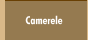Camerele